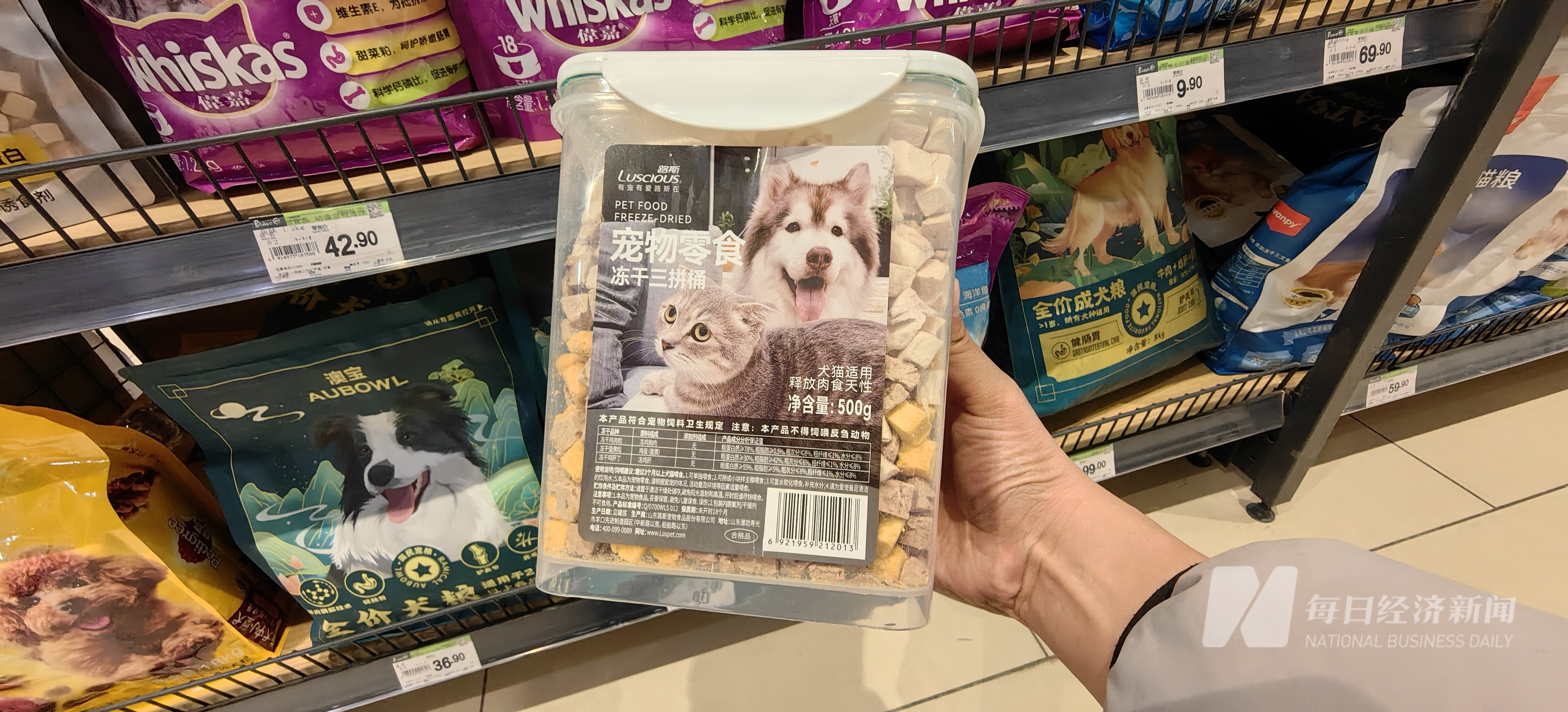 加中药宠物从“吃饱”转型“吃好” 国产品牌崛起驱动万亿元市场AG真人app“2025 宠物消费·智享未来报告”｜狗粮也(图1)
