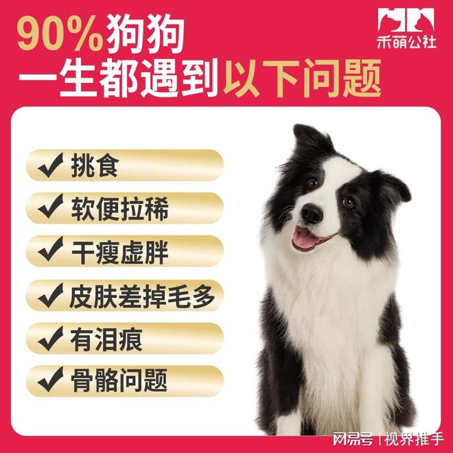 为中型犬定制的均衡能量配方AG真人旗舰厅禾萌公社：(图3)