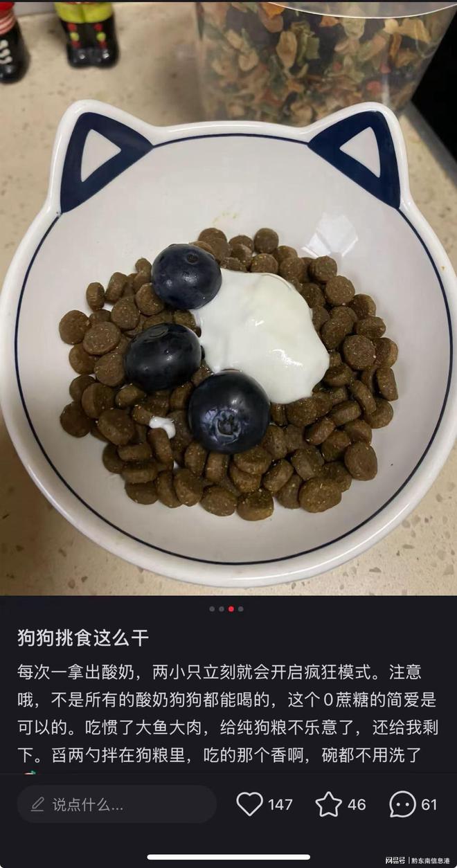 方”撬动萌宠经济与母婴信任双赛道AG真人国际简爱酸奶以“纯净配(图2)