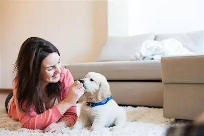 元的宠物食品市场进入价值驱动型转型AG真