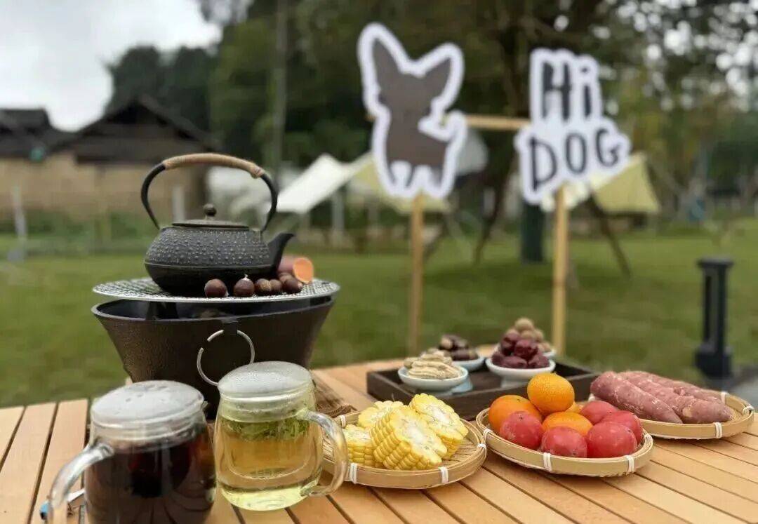 文旅如何抓住千亿宠物经济赛道AG真人百家乐萌宠进村！乡村(图3)